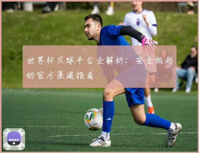世界杯买球平台全解析:安全购彩的官方渠道指南
