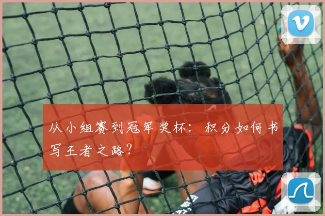从小组赛到冠军奖杯：积分如何书写王者之路？