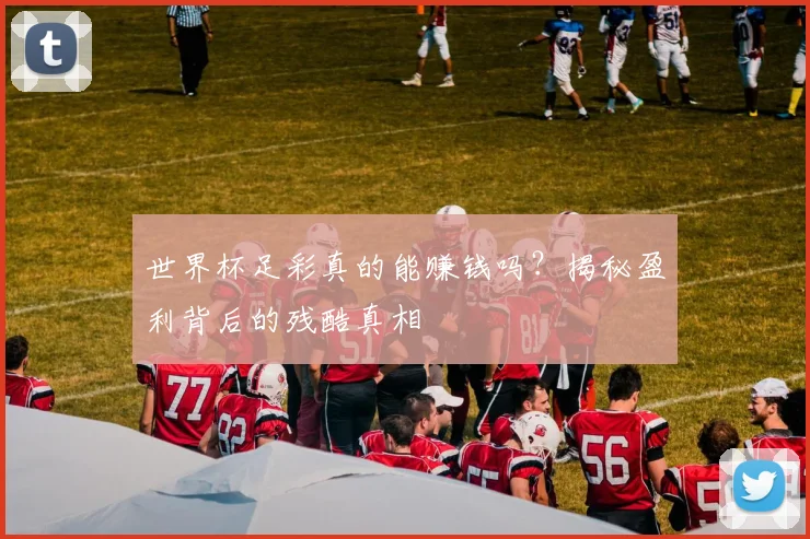 世界杯足彩真的能赚钱吗?揭秘盈利背后的残酷真相