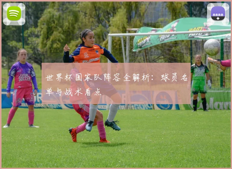 世界杯国家队阵容全解析:球员名单与战术看点