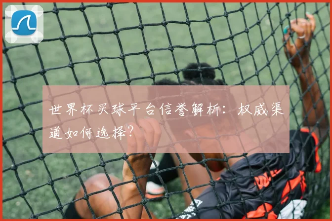世界杯买球平台信誉解析:权威渠道如何选择?