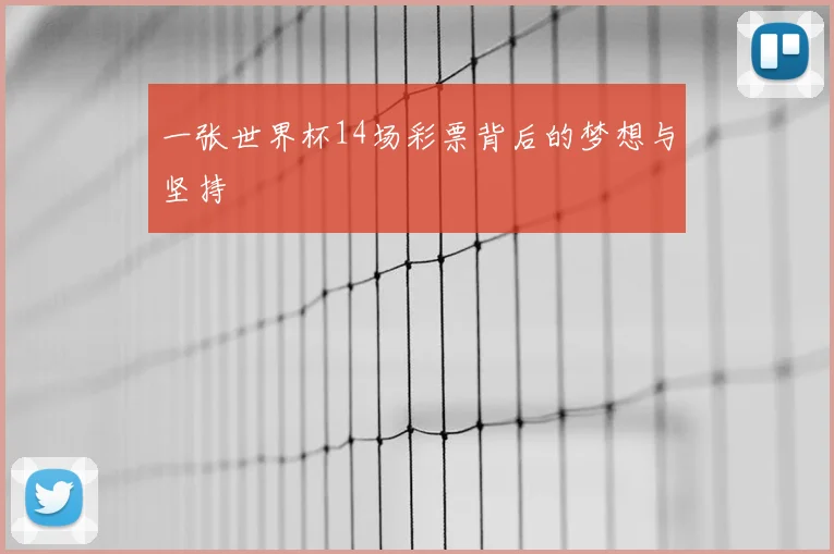 一张世界杯14场彩票背后的梦想与坚持