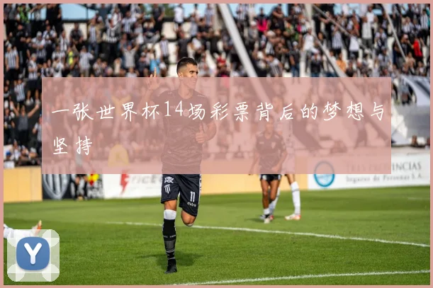 一张世界杯14场彩票背后的梦想与坚持