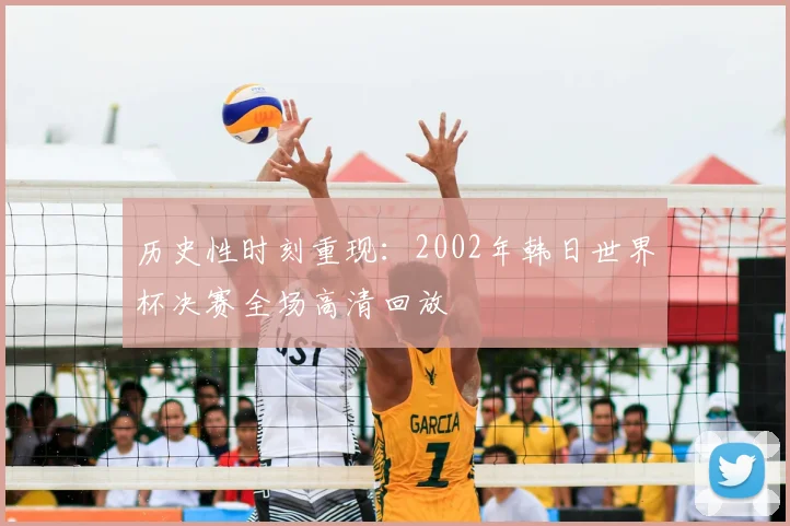 历史性时刻重现：2002年韩日世界杯决赛全场高清回放