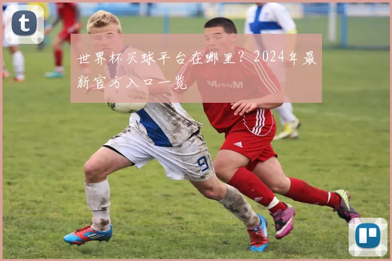 世界杯买球平台在哪里？2024年最新官方入口一览
